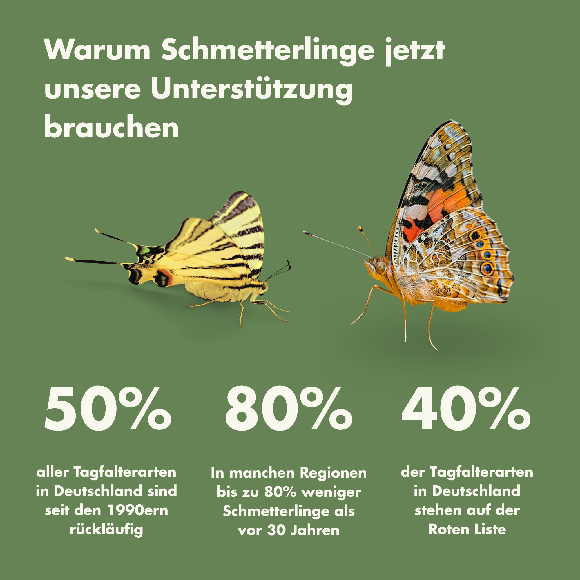 Ingrids handgefertigtes Schmetterlingshotel