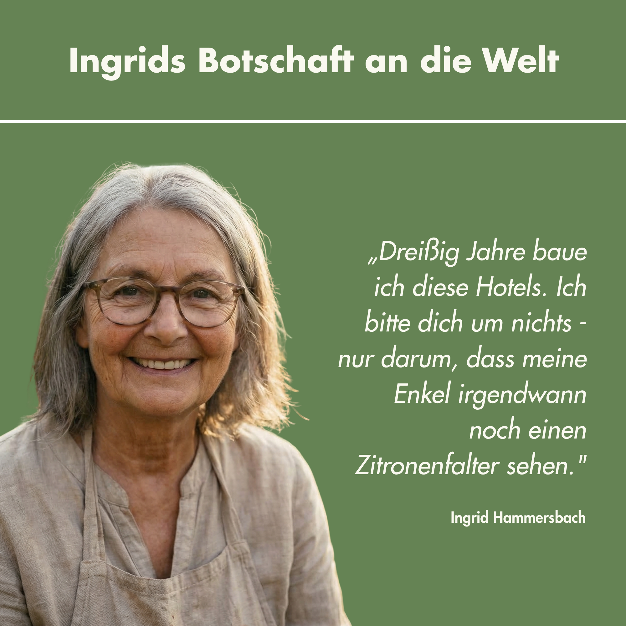 Ingrids handgefertigtes Schmetterlingshotel